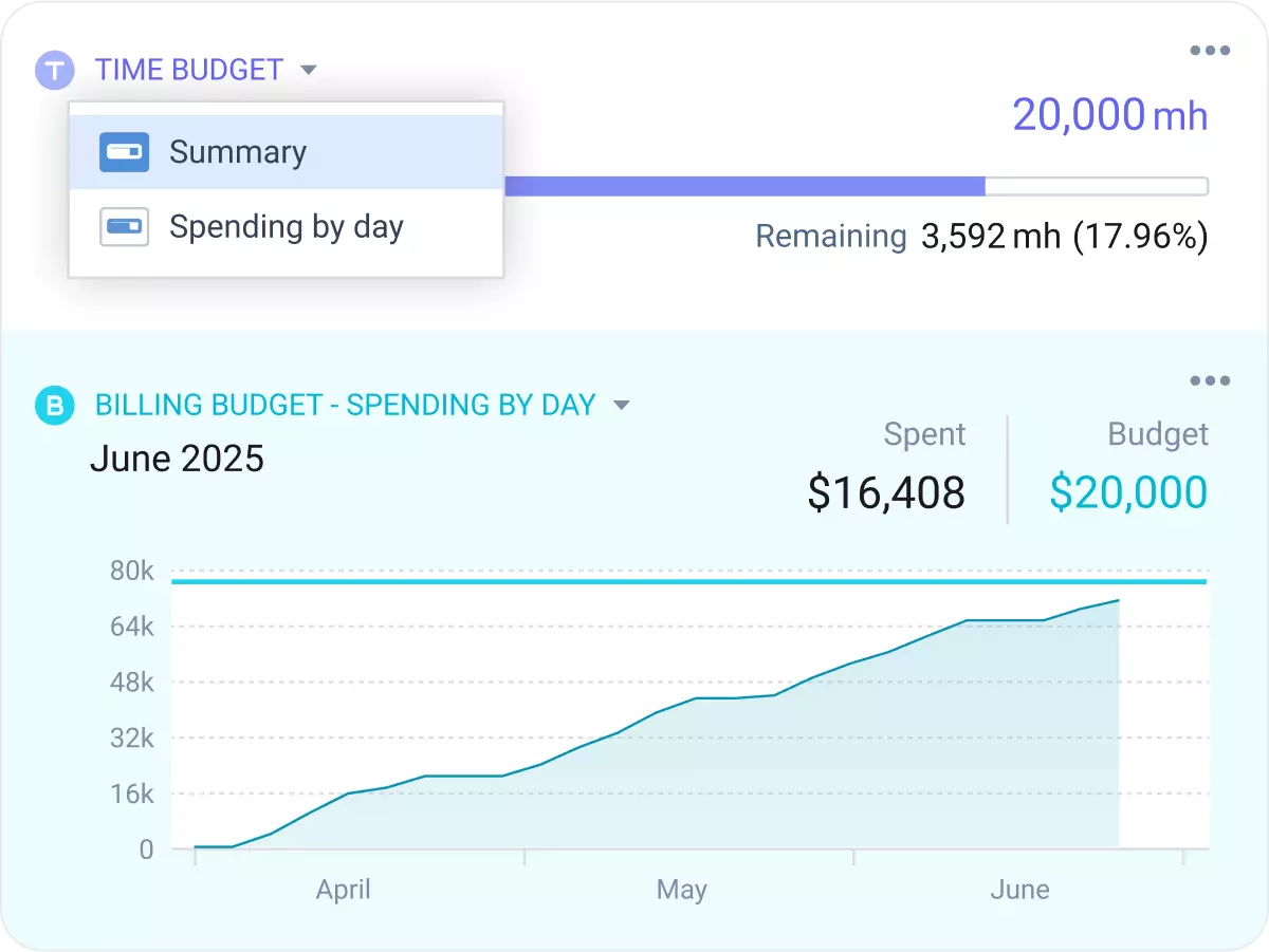 Architects projects budget control