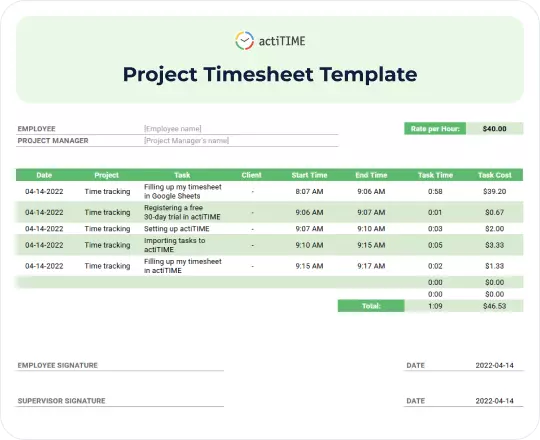Free Project Timesheet Template template preview