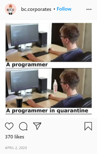 Programmer working from home