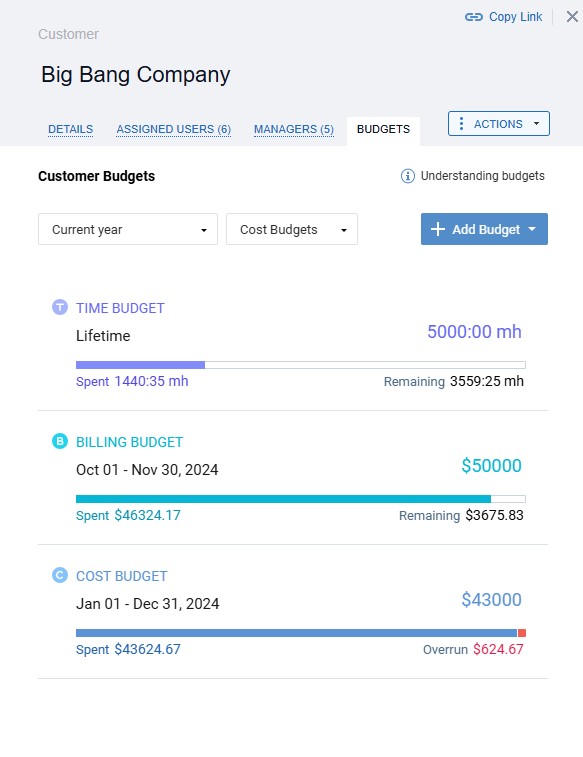 Customer Budgets Interface